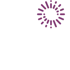 light adjustable lens logo