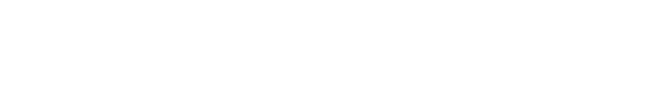 Tom Ford logo semel vision