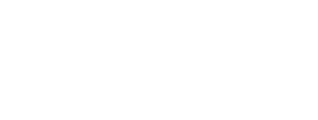 zeiss logo semel vision